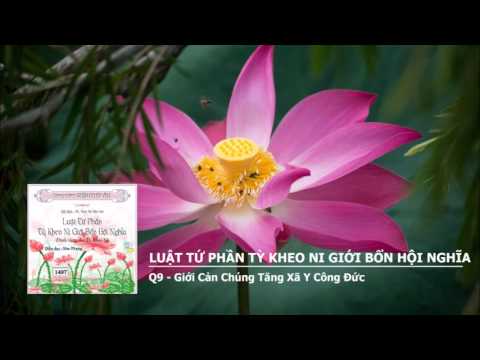 Video Q9 - Giới Cản Chúng Tăng Xã Y Công Đức - youtube