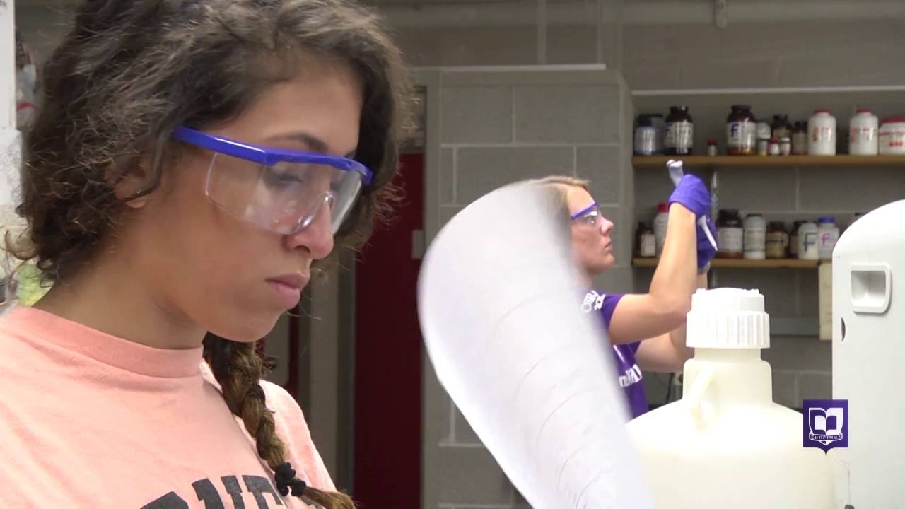 CSRI: Fire Coral Research