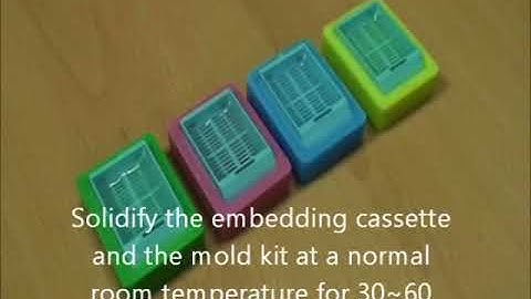 Manual TMA - Recipient block mold kit