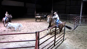 Valley View Ranch - Probly A Cat ***For info, price, etc., go to our website***