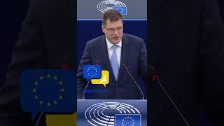 EU calls for an urgent ceasefire in Lebanon, protects UNIFIL, debates Two State Solution in Gaza and