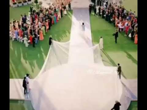 حبيبي وانا حر فيه سامو زين