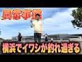 【神奈川/横浜】本牧海釣り施設や赤レンガ倉庫は歴史的なイワシ爆釣！逆に東扇島西公園は…