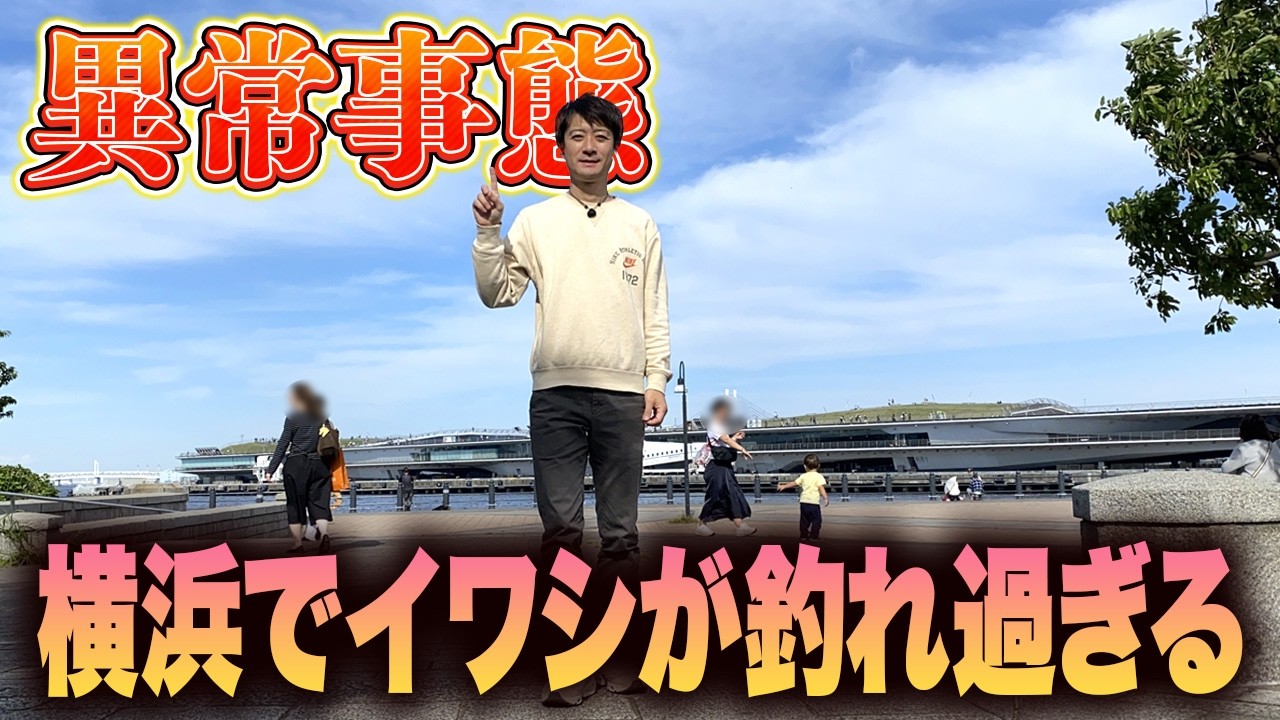 【神奈川/横浜】本牧海釣り施設や赤レンガ倉庫は歴史的なイワシ爆釣！逆に東扇島西公園は…