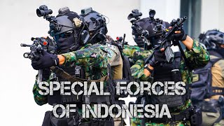 Download Lagu Pasukan Khusus Indonesia - 2025 - Special Forces of Indonesia MP3