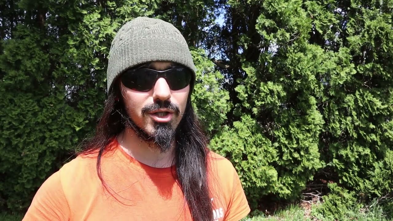 Companion Planting with Rye and Garlic Success