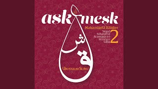 Güzel Aşık Cevrimizi Çekemezsin — Ubeydullah Sezikli kapak görseli