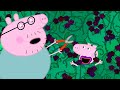 Peppa Pig Official Channel | The Blackberry Bush