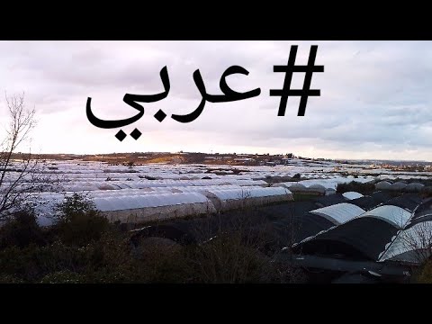 حل أسئلة درس رسالة عبد الحميد الكاتب إلى الكتاب أ نصر أبو صاع