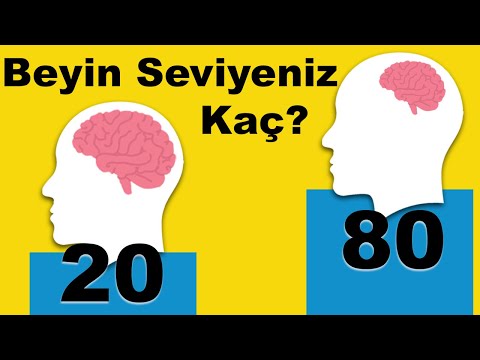 Beyin Seviyenizi Görebileceğiniz Zekanızı Zorlayacak 14 Soru