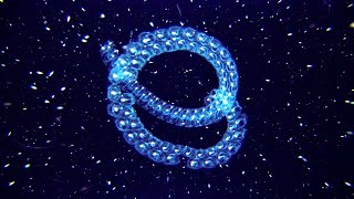 Secrets of the Pacific Ocean - Unseen Life and Wonders of Coral Reefs