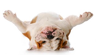 Detailed A Doctor Answers: What Foods Make You Bloated? Details