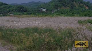 20170922空拍【高屏溪九月雪，秋季限定花海4K。】by DJI Inspire 1 Pro