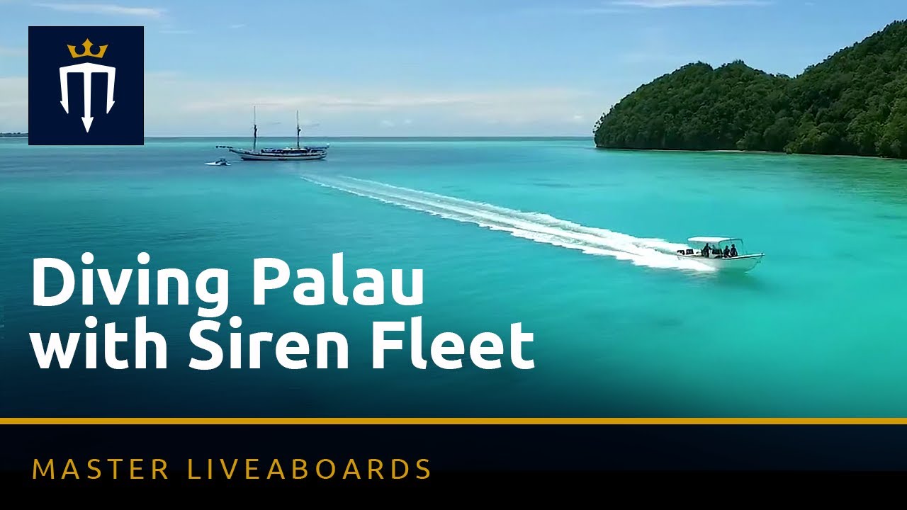 Diving Palau with the Siren Fleet    1 Minute version