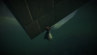 GW2: Bug Wars ll (How to get under Rata Sum & more!)