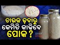ଚ ଉଳ ଡବ ର କ ମ ତ କ ଢ ବ ପ କ How To Keep Rice Free From Insects Kanak News Digital