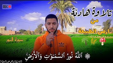 أرح سمعك وقلبك🎧💜تلاوة هادئه من سورة النور