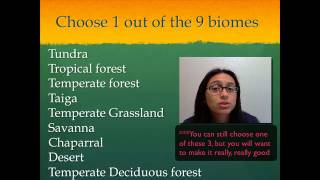 Choosing a Biome