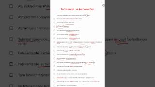 fotosentez özet cümleler, PDF açıklamada