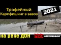 Ловля карпа в завоз на реке Дон. Трофейный карпфишинг 2021 покоряю  дикарь. Открытие сезона.