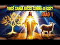 Você sabia que João viu o Espírito em forma de pomba?