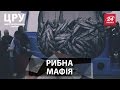 ЦРУ. Як працює рибна мафія України