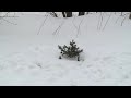 Рязанцы пожаловались на засыпанные снегом саженцы деревьев