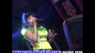 Apurane Aku  Mia Dian Kurnia New Scorpio Reggae Jandhut