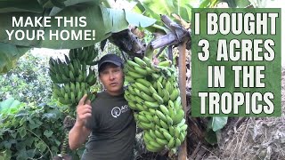 I Bought 3 Acres in the Tropics to Start My Fruit & Vegetable Farm