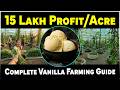 How Vanilla Is Grown Organically | Vanilla Farming for Beginners