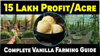 How Vanilla Is Grown Organically | Vanilla Farming for Beginners