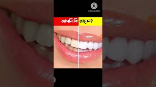 5 amazing facts in bengali || unknown fact in bengali || amazingfacts shorts