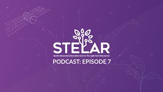 Data Stories 360° Episode 7: Procurement, Transparency & the Power of Open Data