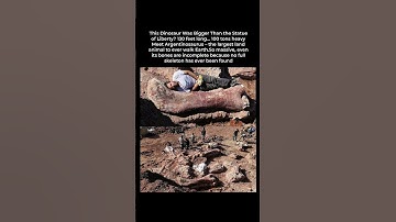 The Farmer Who Accidentally Discovered the World’s Largest Dinosaur