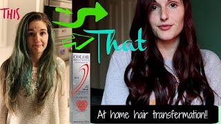 AT HOME (DIY) SALLY"S HAIR DYE ~ color transformation!