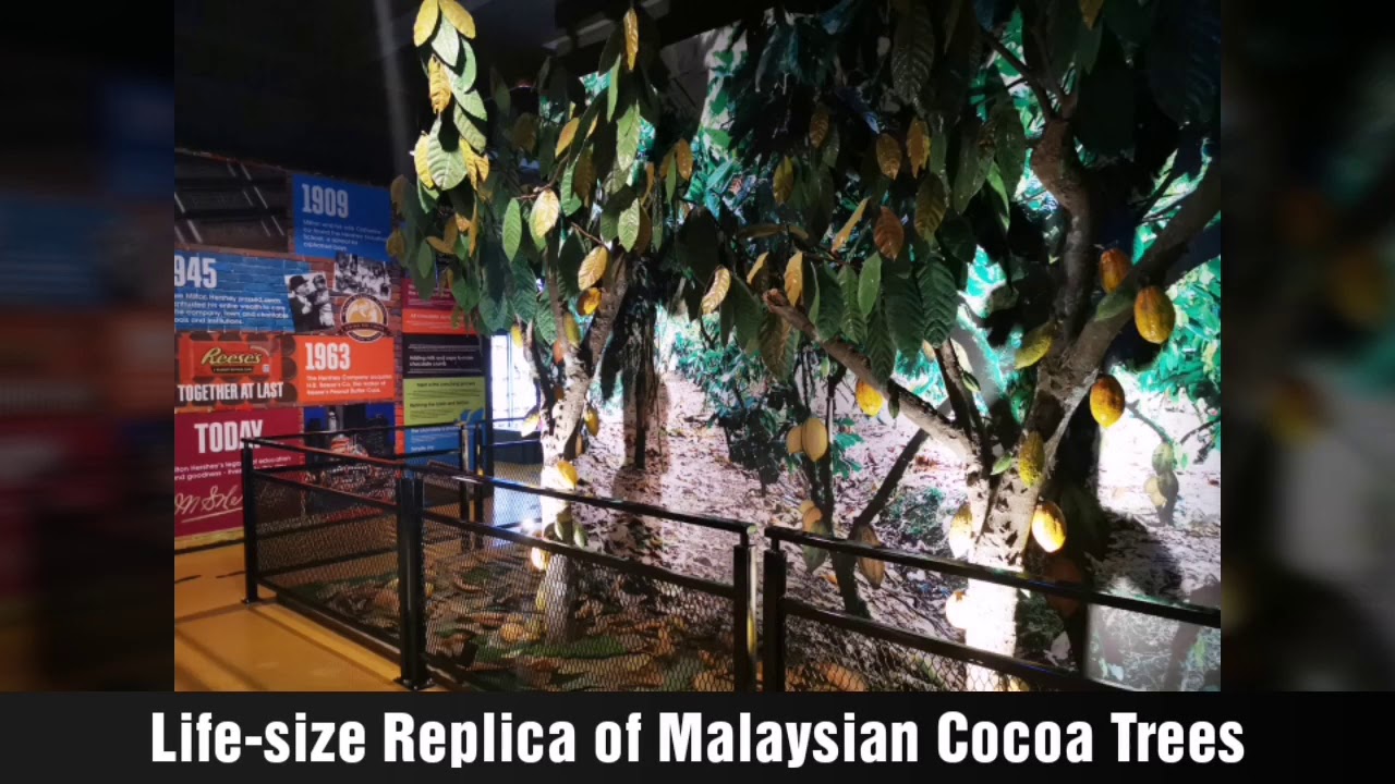 Come Discover Chocolate Museum Kota Damansara YouTube