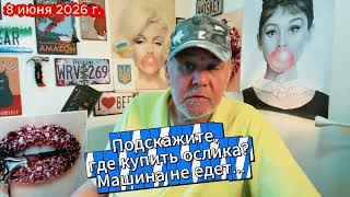 Где купить ослика? И сена. Ехать-то на чём-то нужно...
