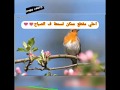 احلي موسيقي ممكن تسمعها في الصباح