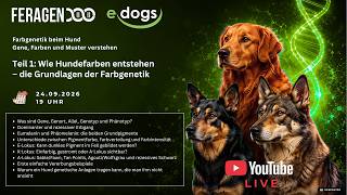 🧬🐶 Farbgenetik beim Hund – unsere dreiteiligen YouTube-Live-Serie startet! screenshot 4