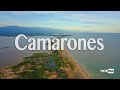 Playa CAMARONES y el SANTUARIO Los FLAMENCOS | Pepito Viaja 🇨🇴
