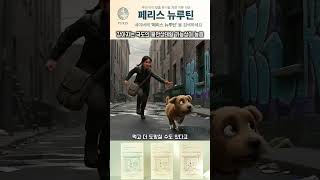 강아지 잃어버렸을때 대처방법