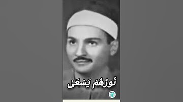 ماذا لو اطال الله بعمر الشيخ حمدى الزامل- كما دعى له جمهور المستمعين- مقطع من سورة التحريم