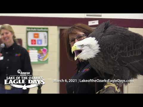 Ameren Missouri Presents: Lake of the Ozarks Eagle Days 2021