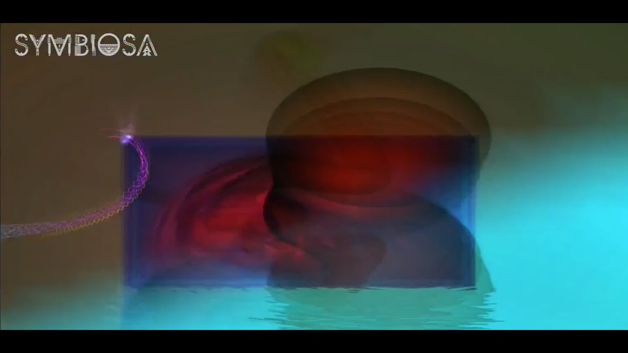 Symbiosa - A relaxing downtempo audio/visual mix