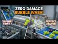 Industrial Grape Bubble Washing Machine No Damage to Fruit