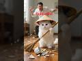 Fluffy kitten in hat clumsily sweeps up broken cup, hiccupping cutely.