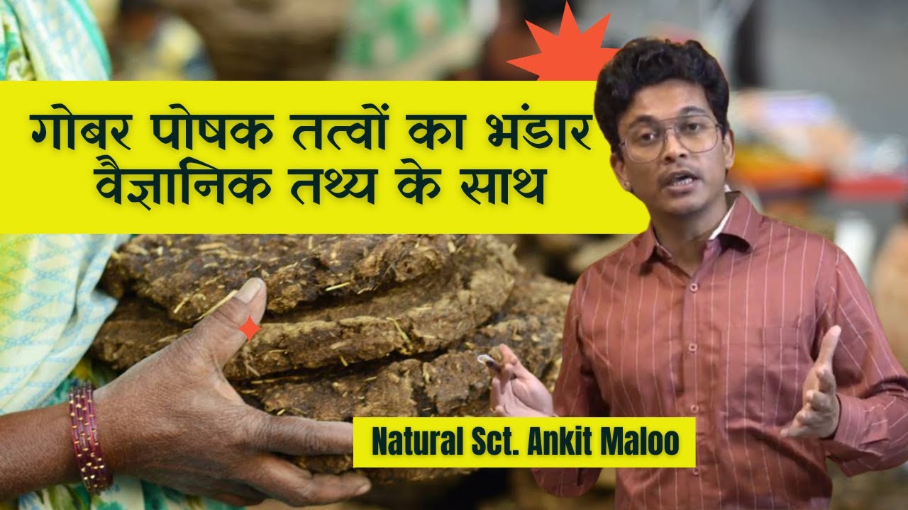 गोबर पोषक तत्वों का भंडार | वैज्ञानिक तथ्य के साथ Gobar |GROWTH ...