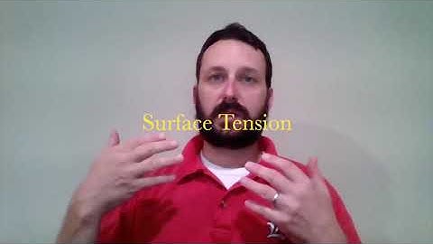 S.T.E.A.M. Club - Using the Science of Soap Bubbles to Solve Geometry Problems