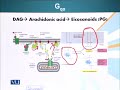 GEN731 Advanced Molecular Genetics Lecture No 64