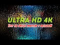 🐠 Цветовой тест на битые пиксели с музыкой для проверки динамиков. Ultra HD 4К